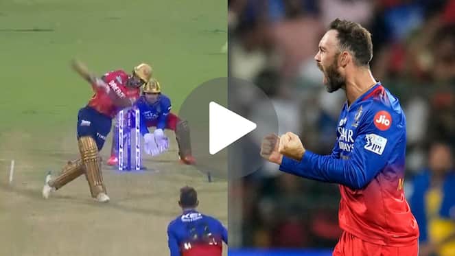  [Watch] Maxwell's 'Pumped Up' Celebration As Kohli Takes Catch To Send Dhawan Packing